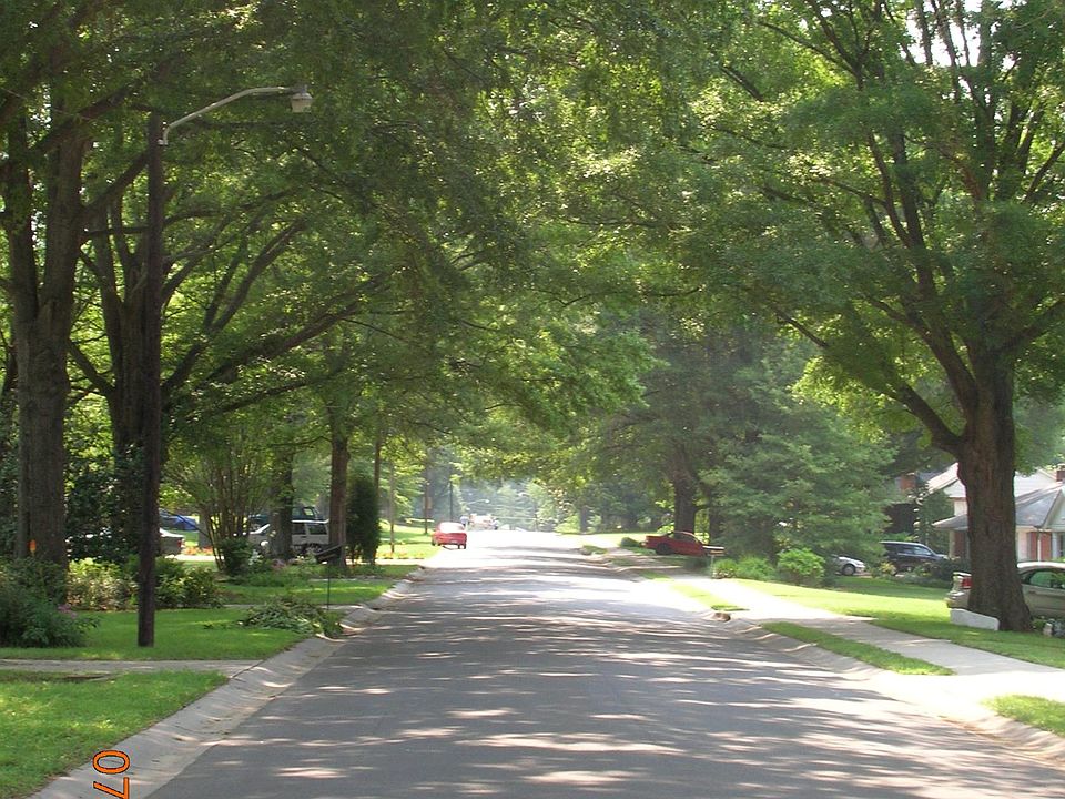 Elder Ave. Streetscape