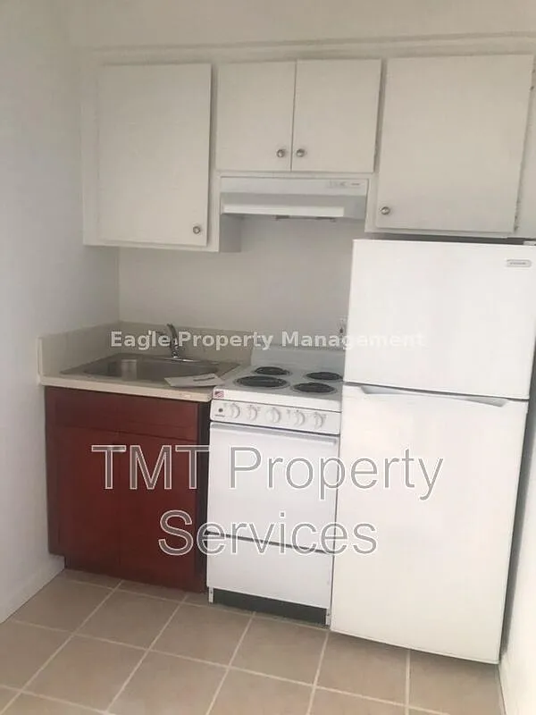 Studio, 1.0 bath, 500 sqft, $1,000 — Photo 3