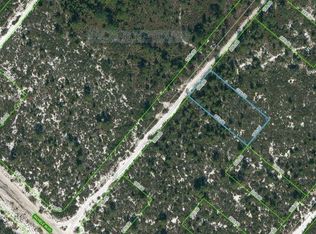 609 Rutherford St, Lake Placid, FL 33852