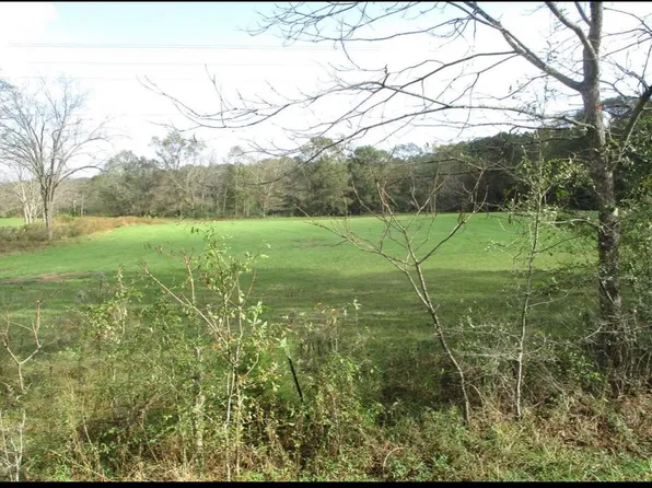 0 Summerland Rd, Taylorsville, MS 39168