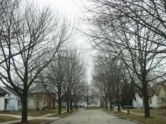 3rd image of 1827 Cambridge Ave