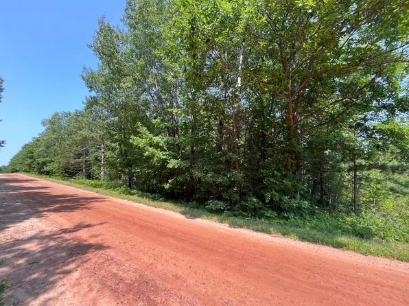 1234 Alberts Rd, Nashwauk, MN 55769