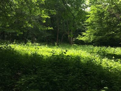 0 Winterdale Rd, Starlight, PA, 18461