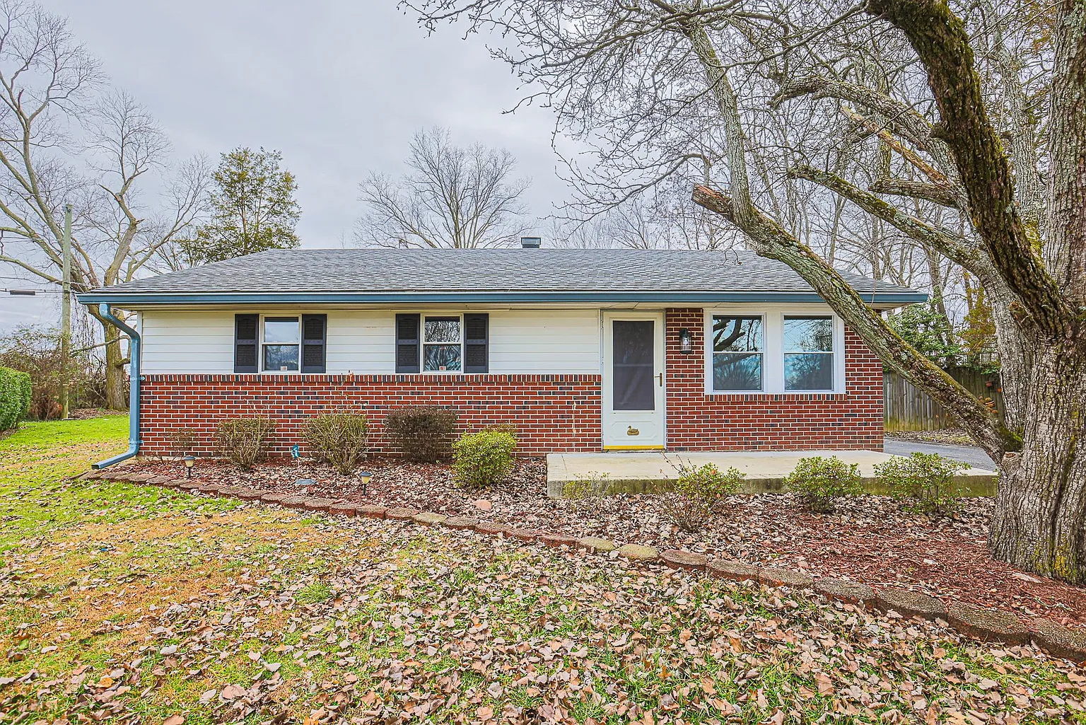 600 Tupelo Ct photo 1