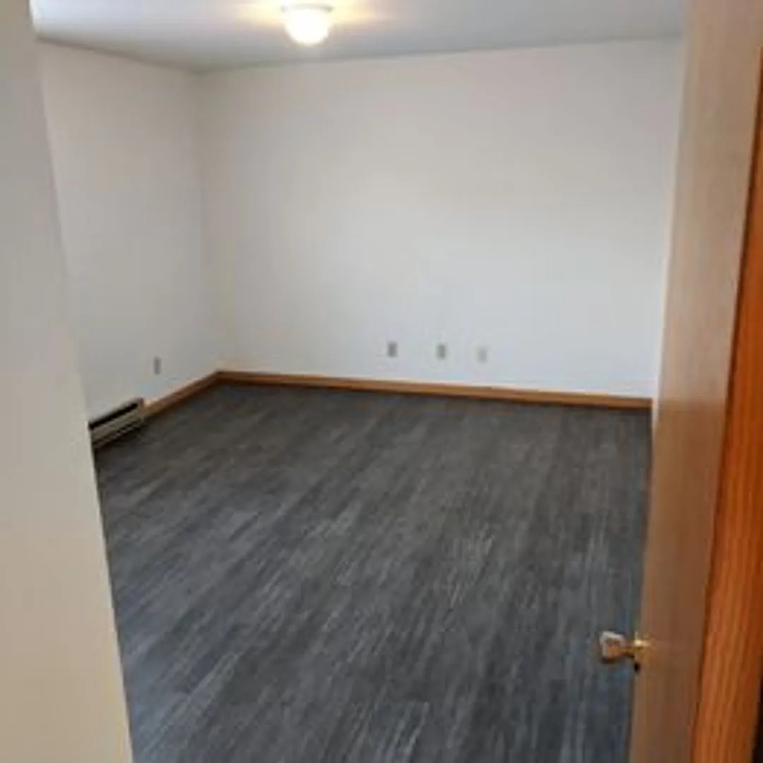 210 W Main Street, Mt Morris, IL — Photo 3
