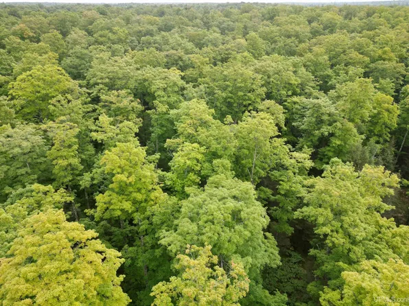 County Road 1 #Sd, Cornell, MI 49818