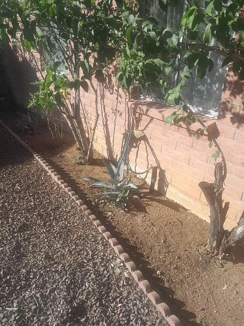 N Twin Lakes Dr, Tucson — Photo 4