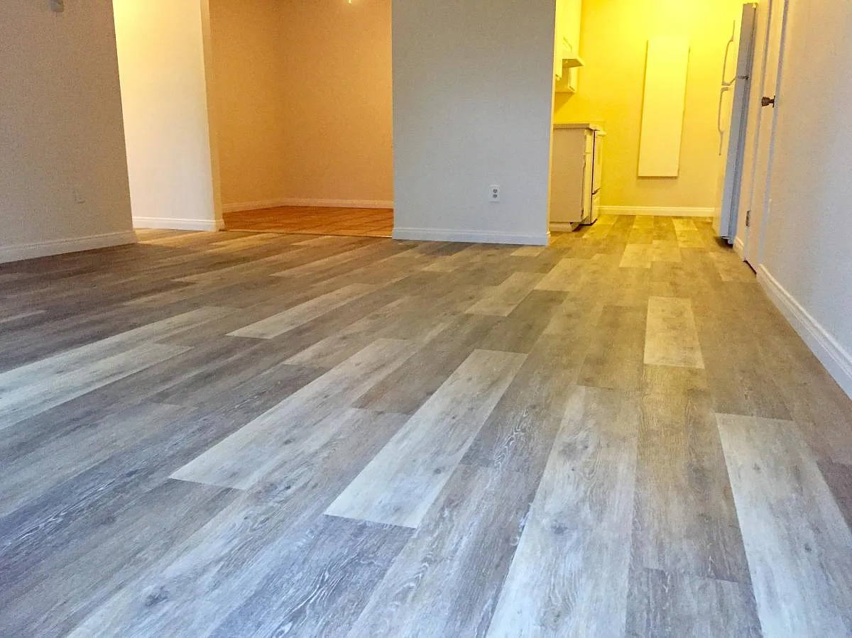 704 Regal Rd — Photo 3
