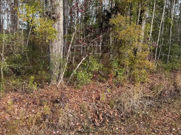 0 Appleby Rd, Ruffin, SC 29475