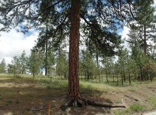 LOT 104 W Old Kettle Rd, Kettle Falls, WA 99141