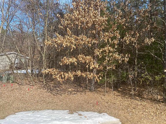 4th image of 136 Northwoods Wisconsin