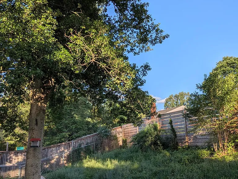 4808 Mori Dr — Photo 19