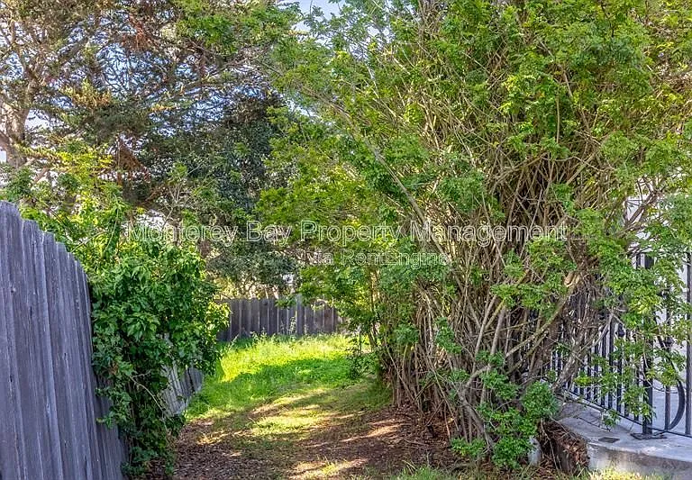 3057 Otto Dr — Photo 38