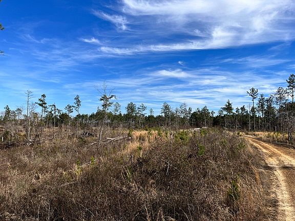 Recently Clearcut and Ready for Reforestation or Conversion to Pature of Other Use