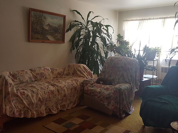 5th image of 10533 Otis Ave