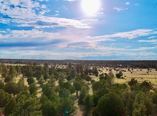 Flake Road Lots N, Overgaard, AZ 85933