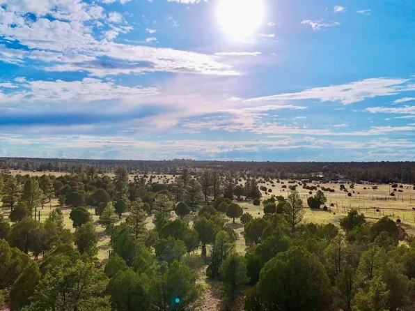 TBD Flake Rd Lots N & K 2.54 Acres -- #-, Aripine, AZ 85933