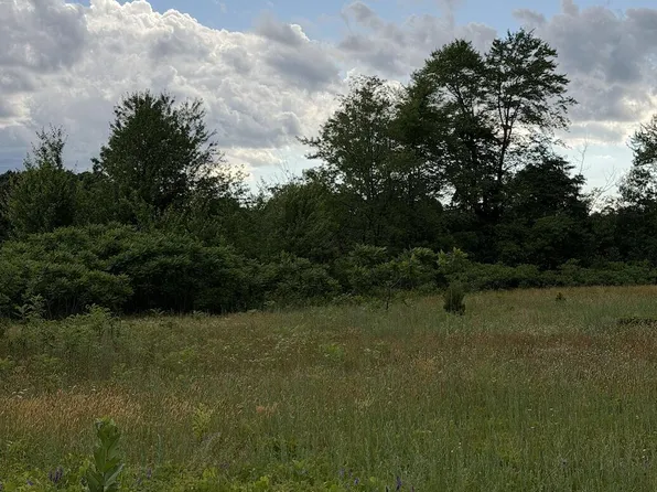 390 S Arent Rd, Watervliet, MI 49098