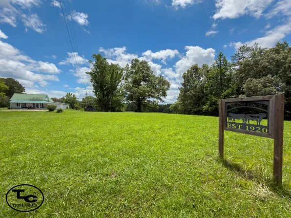 5725 Old Friendship Rd, Finger, TN 38334