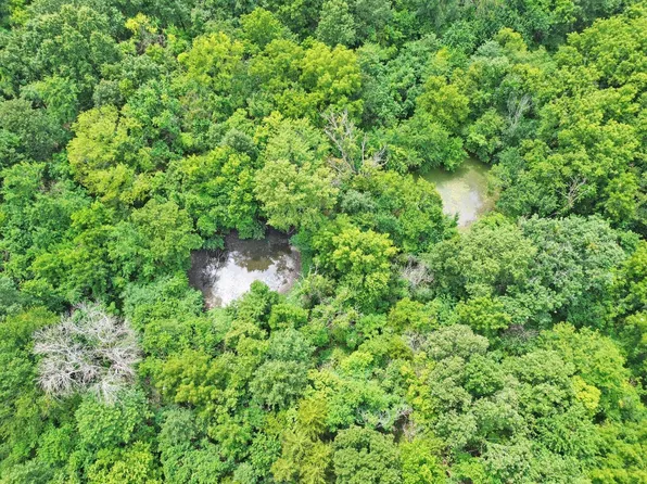 (undisclosed Address), Lockwood, MO 65682