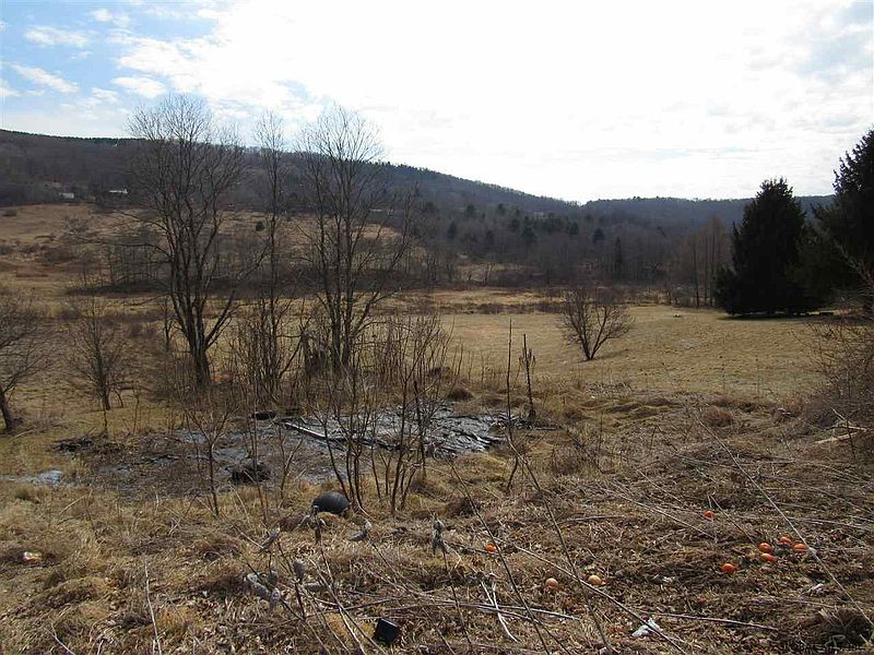 5th image of 732 CHARLOTTE VALLEY Road
