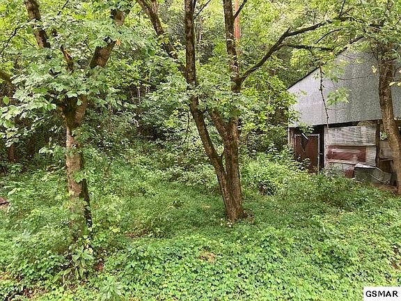 4th image of 12 Bear Creek Rd