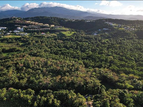 4th image of State Highway 968 Km #2.2