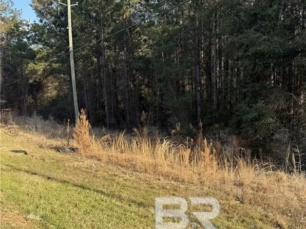 0 Spice Pond Rd, Eight Mile, AL 36613