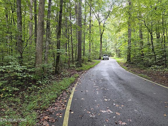 3rd image of 165 Lail Ln
