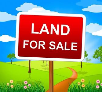 541 Sandy Flat Rd, Brownsville, KY, 42210