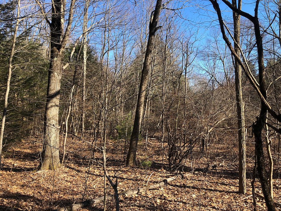 1187 Litchfield Road