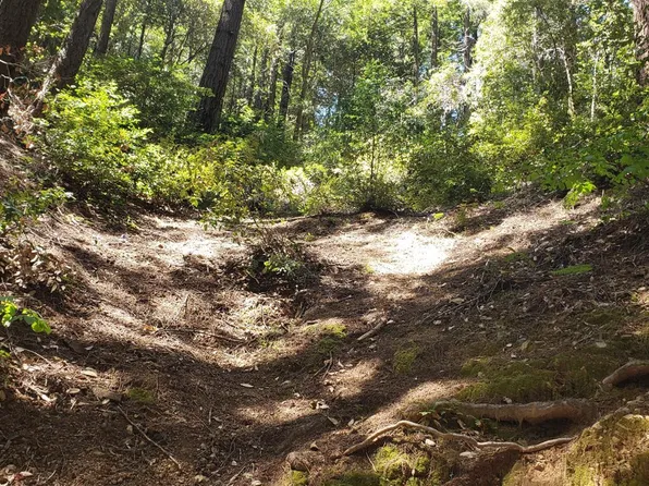 18190 Old Monte Rio Road, Guerneville, CA 95446