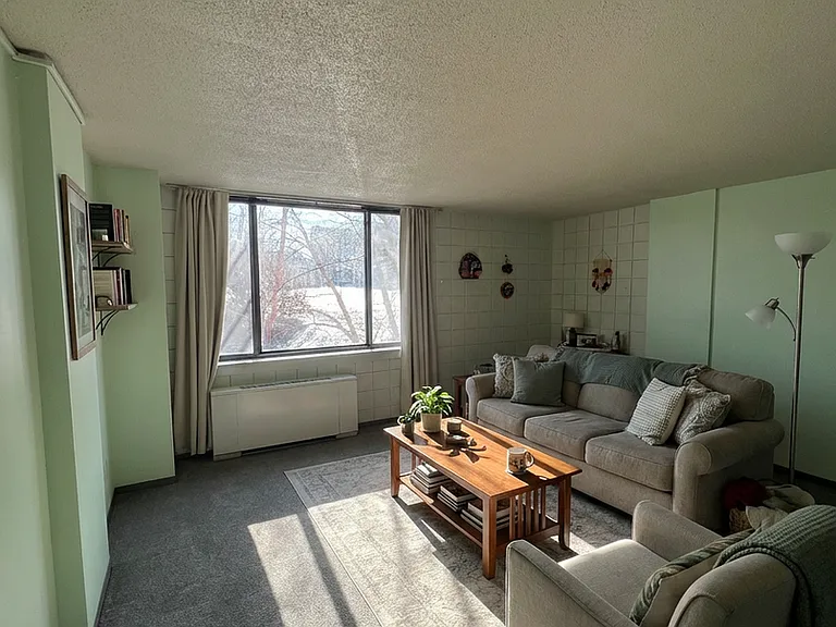 600 E 8th St #3M — Photo 4