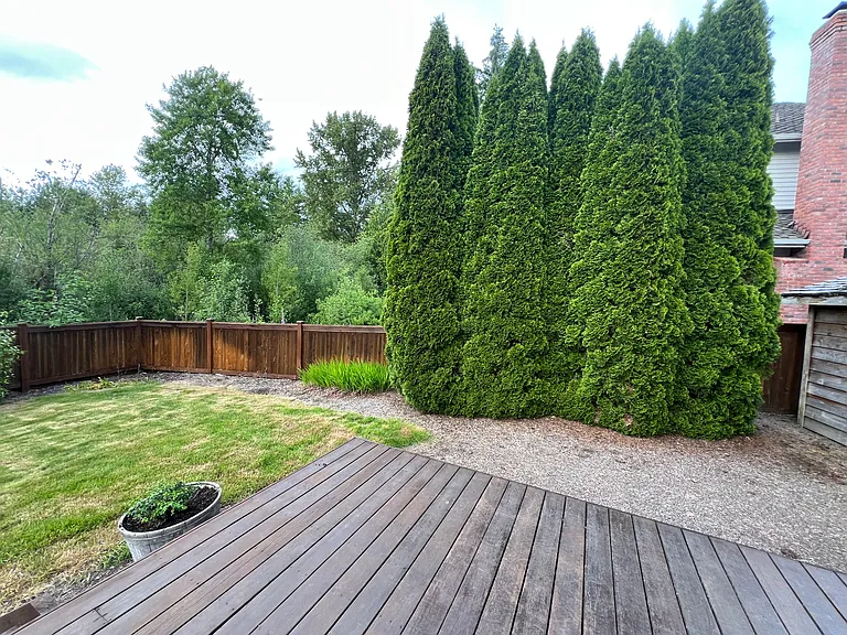 Backyard - Deck