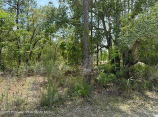 0 Snow Goose Ave, Weeki Wachee, FL 34614