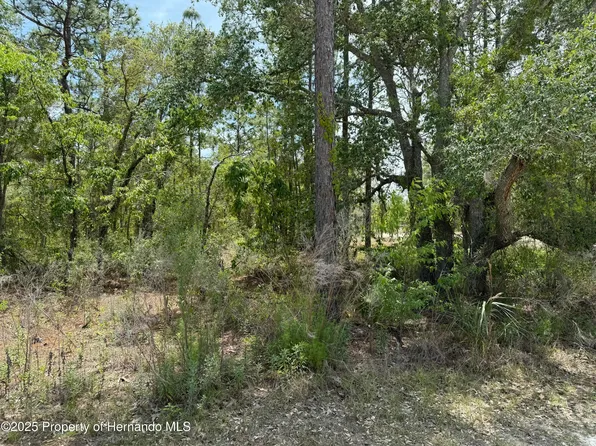 0 Snow Goose Ave, Weeki Wachee, FL 34614