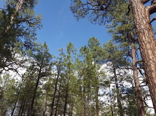 8250 N Round Tree Rd, Flagstaff, AZ 86001