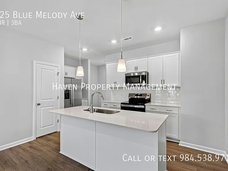 125 Blue Melody Ave — Photo 9