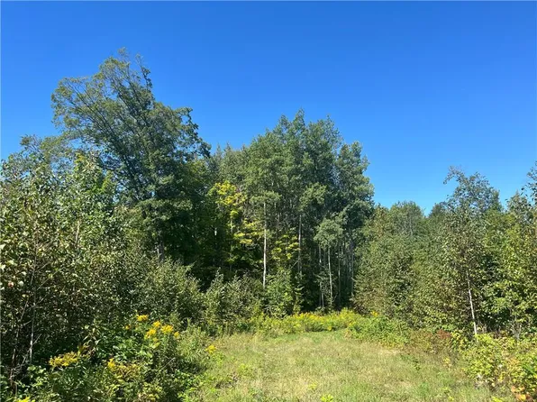 Parcel 7 County Highway T, Birchwood, WI 54817