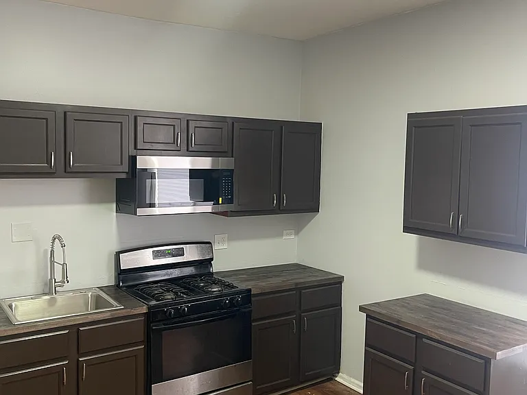 1537 S Saint Louis Ave #3F — Photo 4