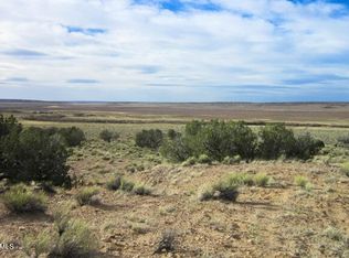 0 N6474 #216, Saint Johns, AZ 85936