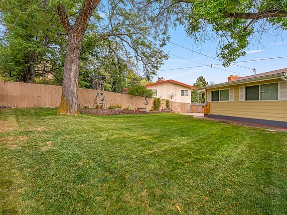Backyard from shed