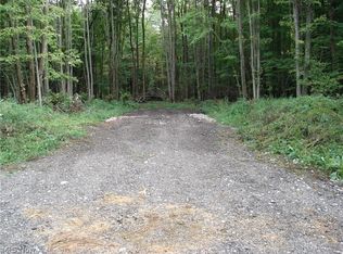 Vl Bishop Rd, Geneva, OH 44041