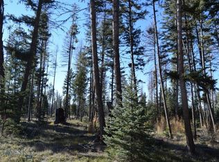 283 Whitefish Dr, Seeley Lake, MT 59868