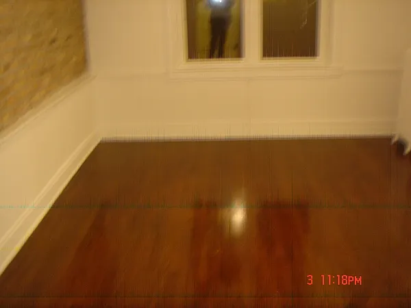 N Pine Grove Ave — Photo 6