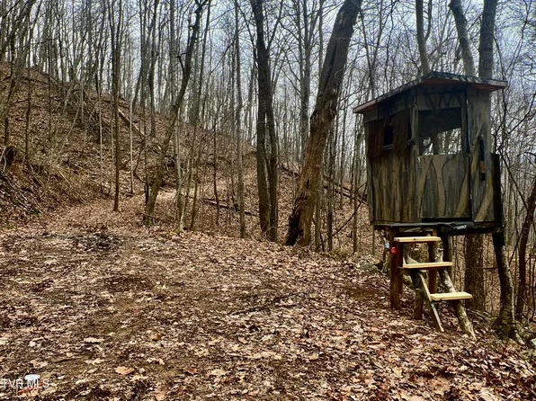 Pressmens Home Rd, Rogersville, TN 37857