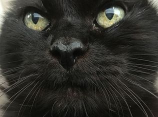 922 Fox Hollow Rd, Sequim, WA 98382