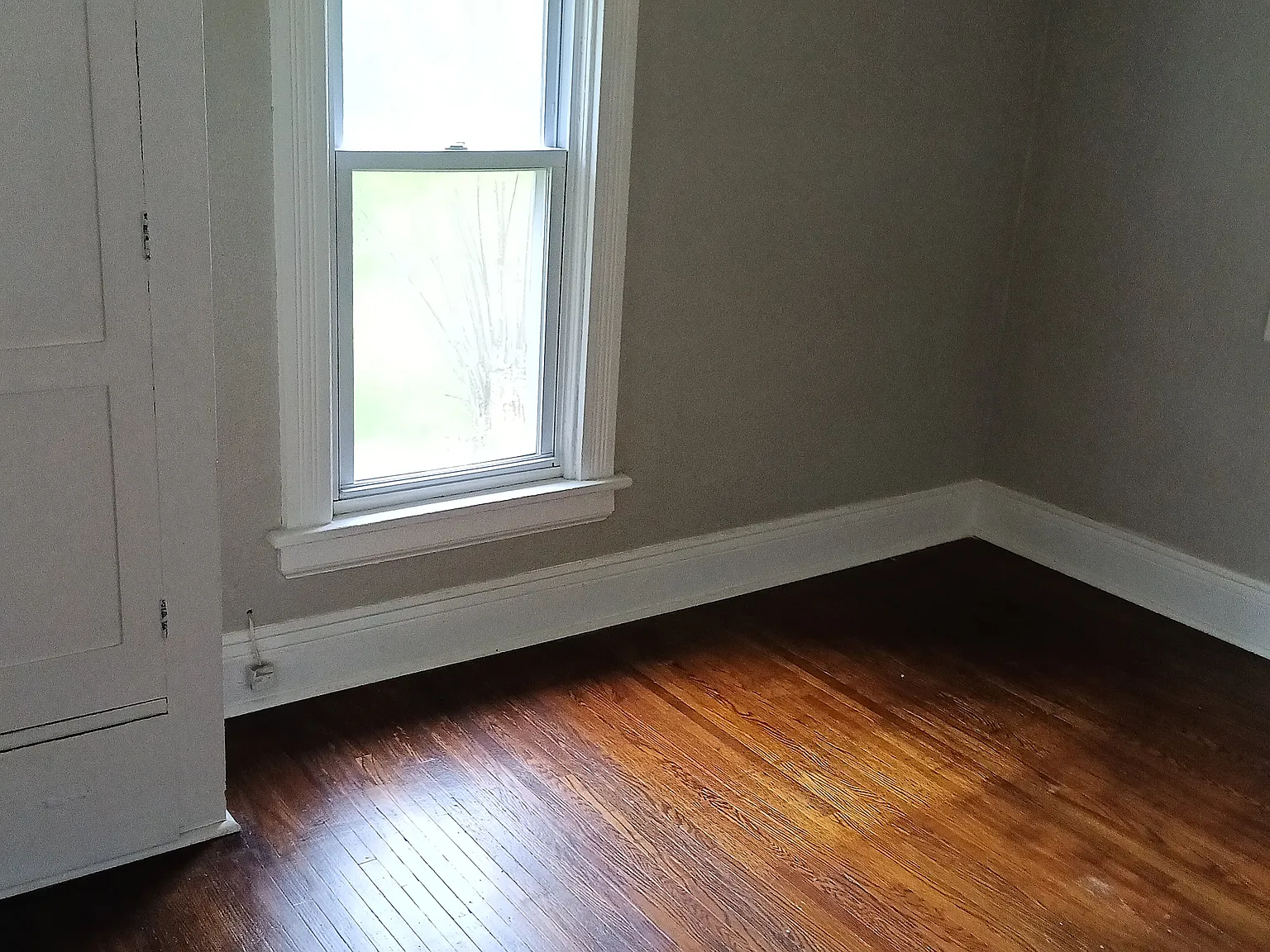 2 bed, $800 — Photo 3