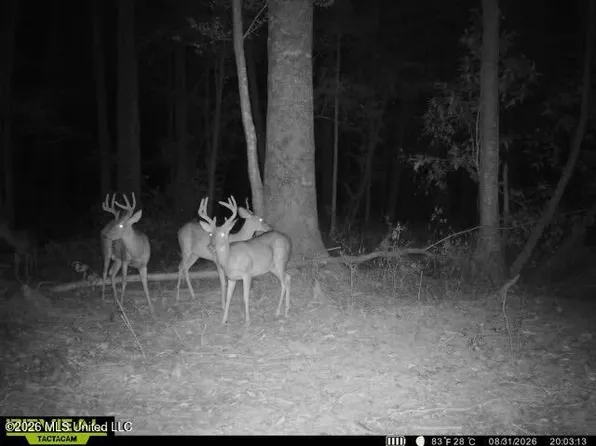 Owen Boone Rd, Brandon, MS 39042