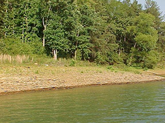 2nd image of LOT 19 Lot Muscadine Point #19